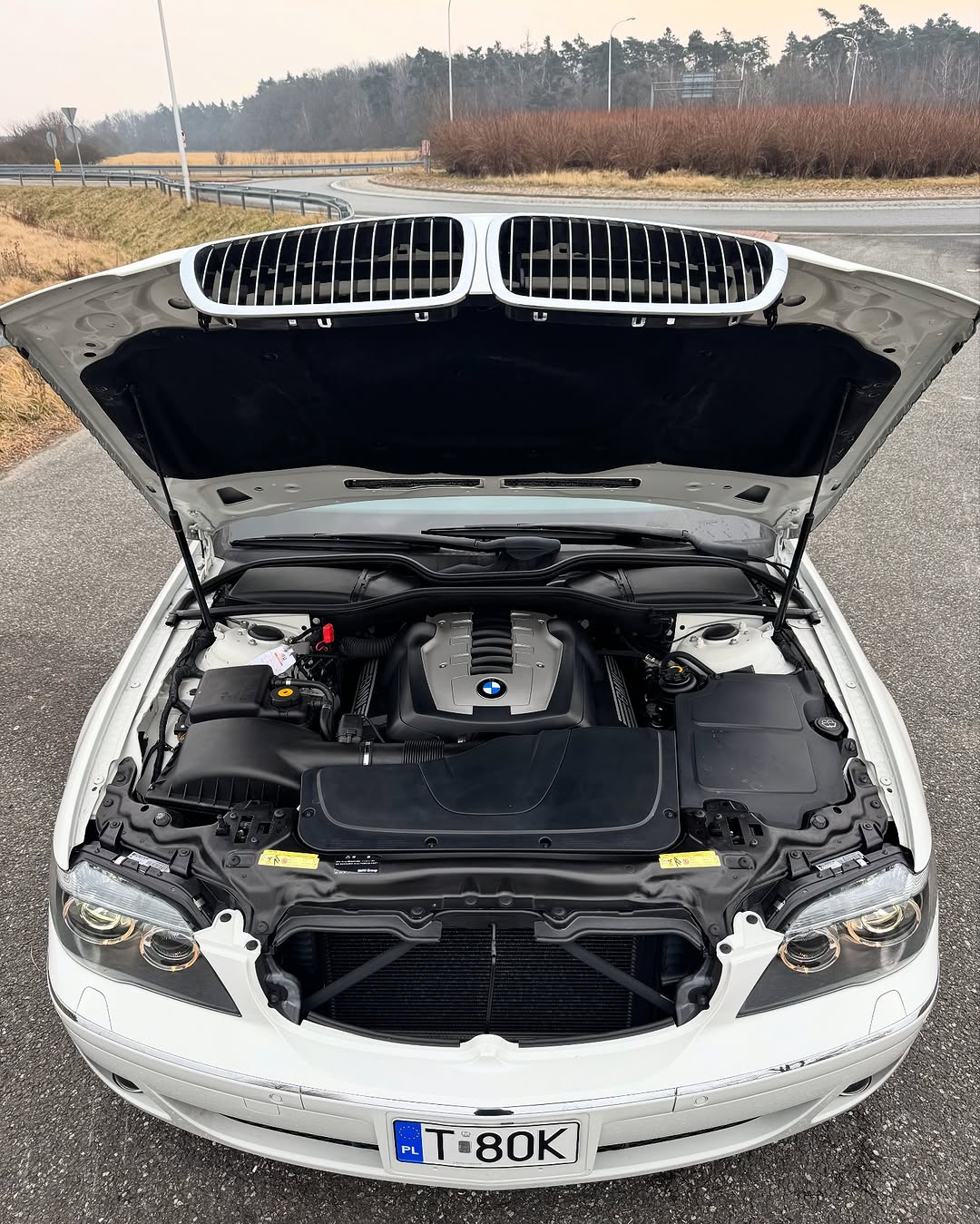 Komora silnika BMW – serwis i diagnostyka